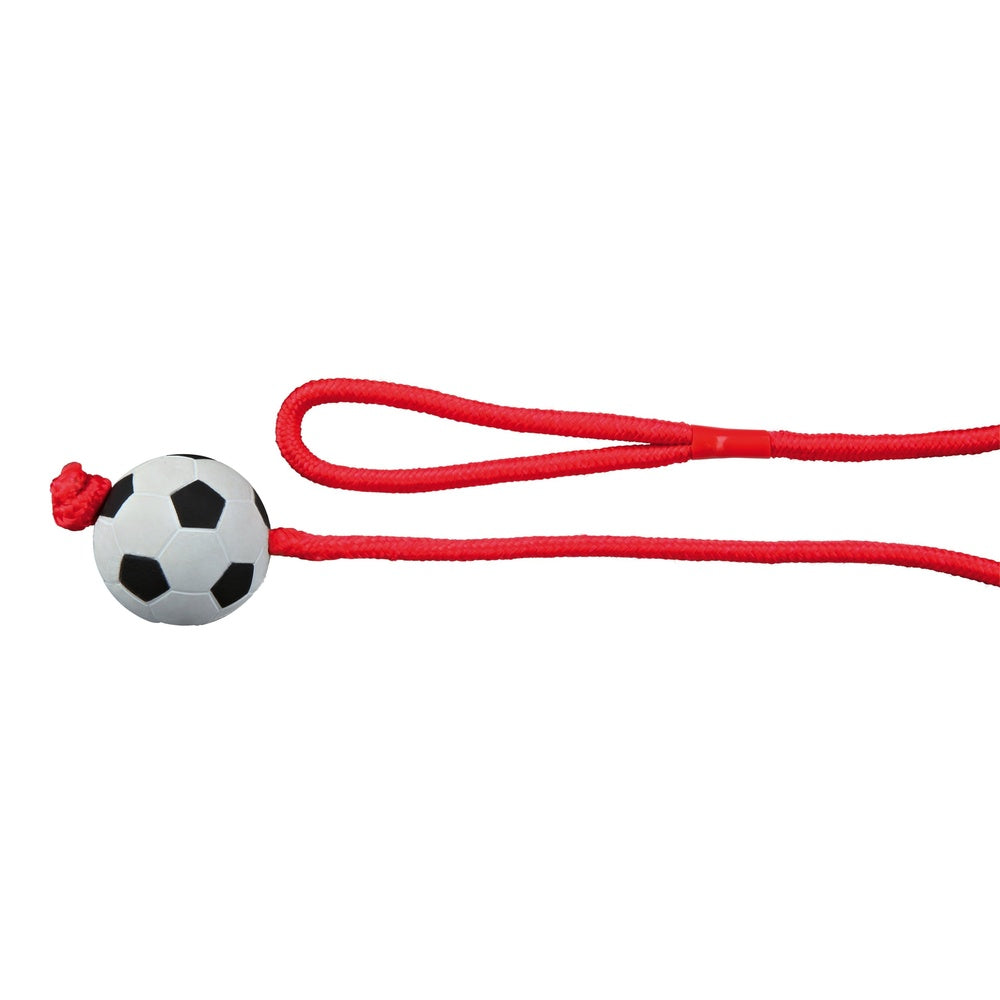 Football on a rope foam rubber, O 6cm