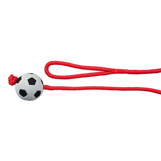 Football on a rope foam rubber, O 6cm