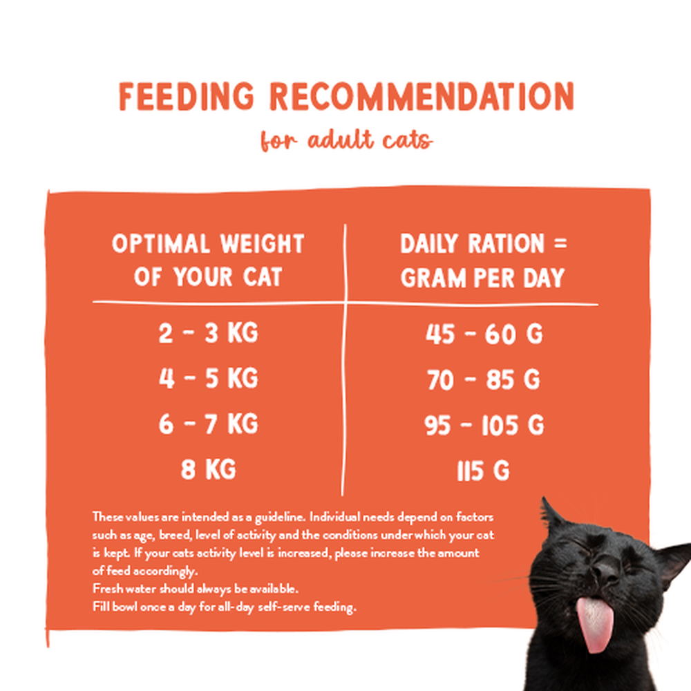 Sanabelle Juicy Salmon 40g